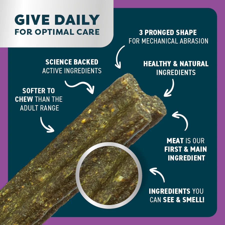 Senior Dental Sticks | Kangaroo
