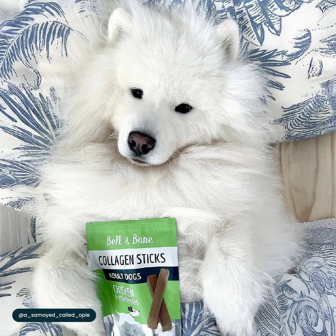 Collagen Sticks | Chicken