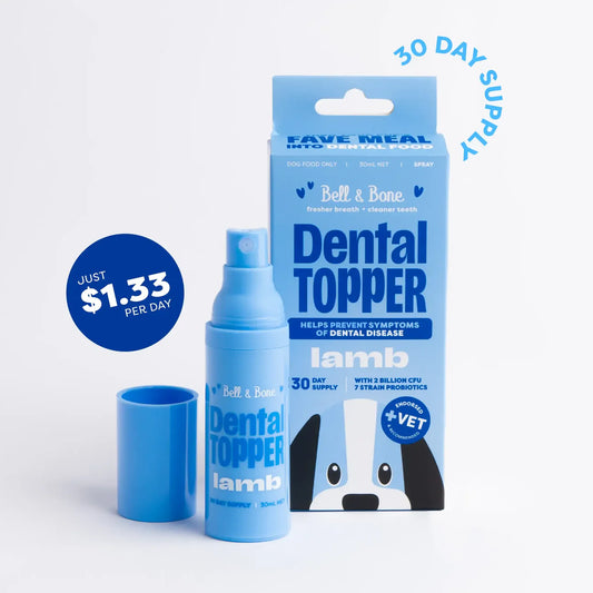 Dental Topper | Lamb