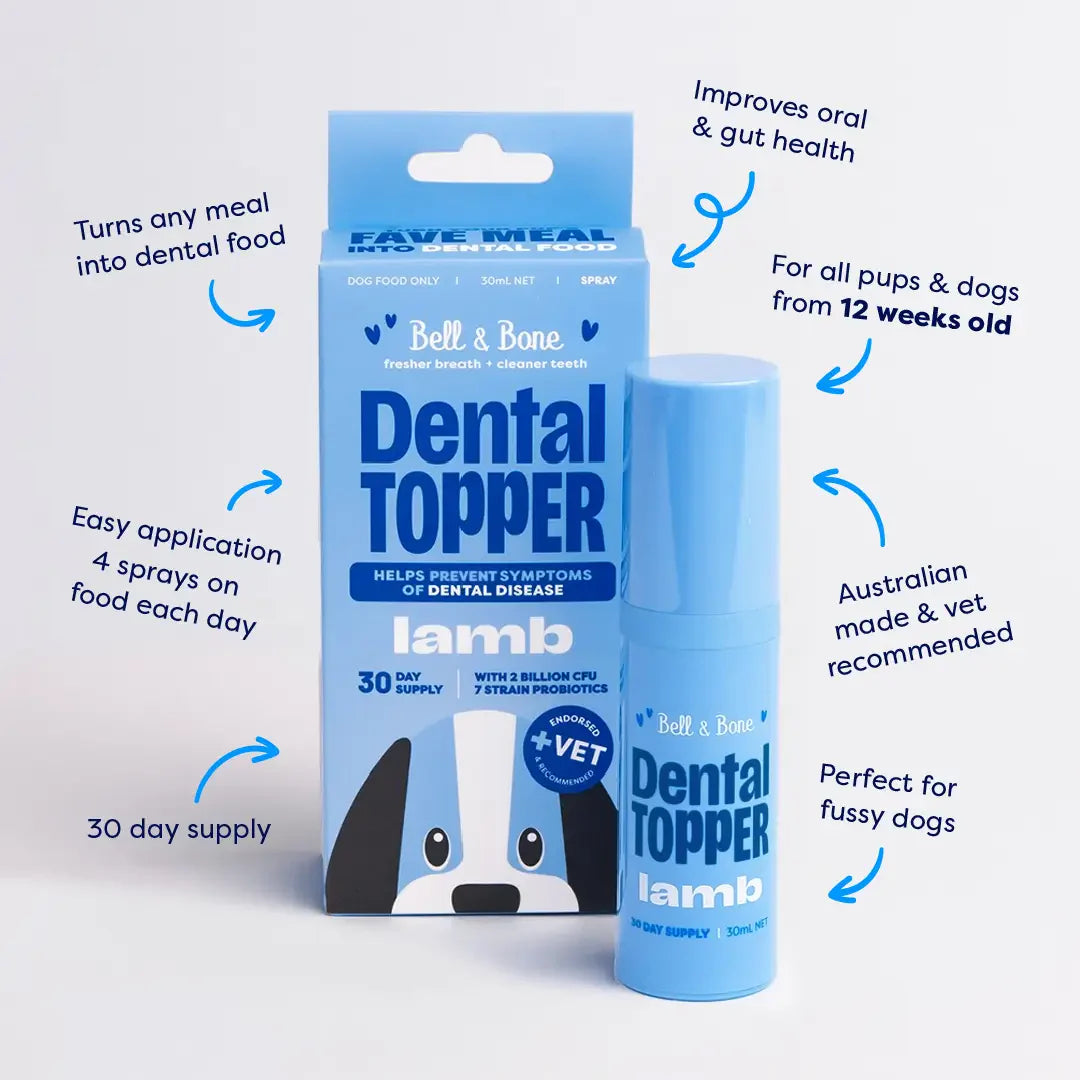Dental Topper | Lamb