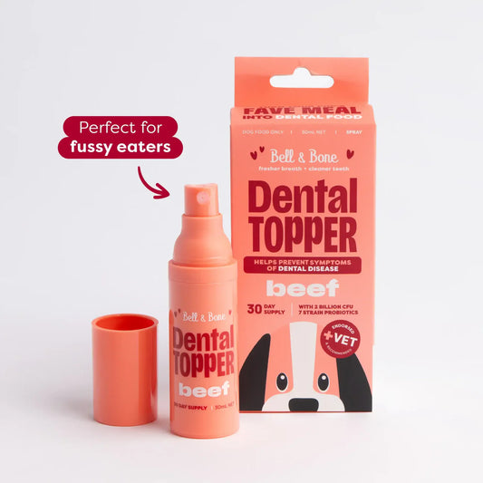 Dental Topper | Beef