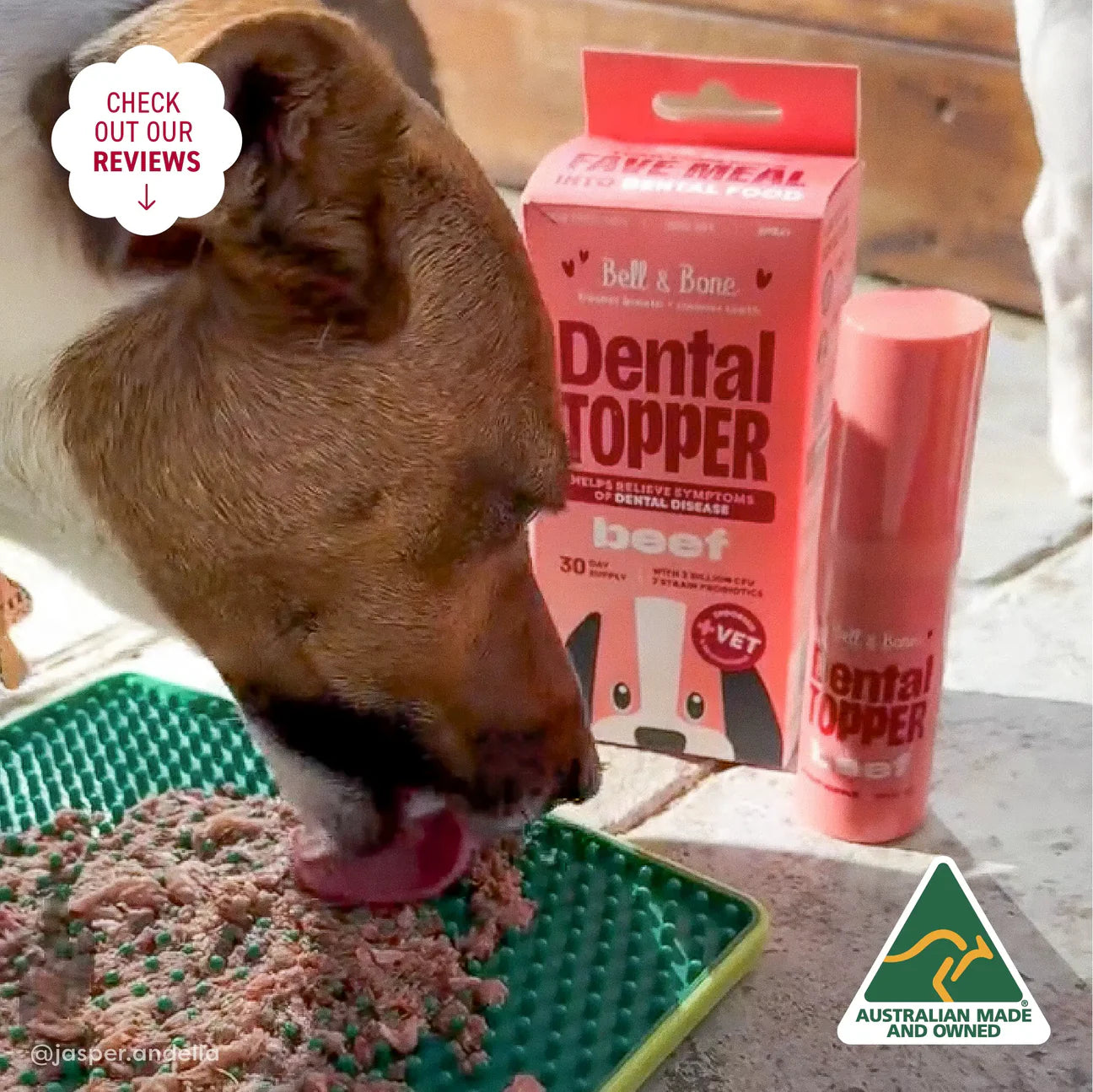 Dental Topper | Beef