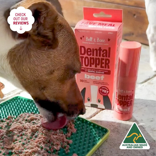 Dental Topper | Beef