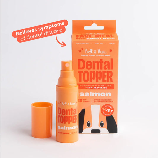 Dental Topper | Salmon