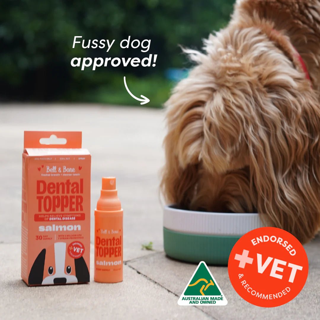 Dental Topper | Salmon