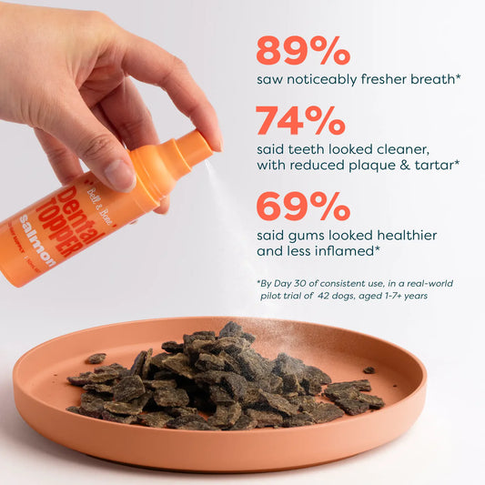 Dental Topper | Salmon