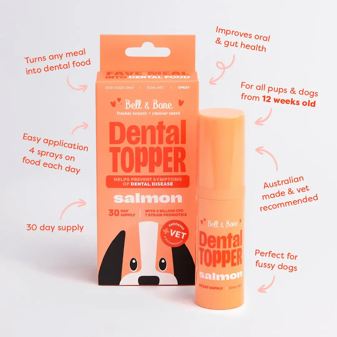 Dental Topper | Salmon