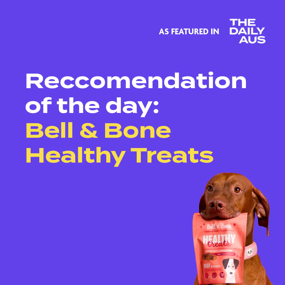 Healthy Treats | Beef & Turmeric