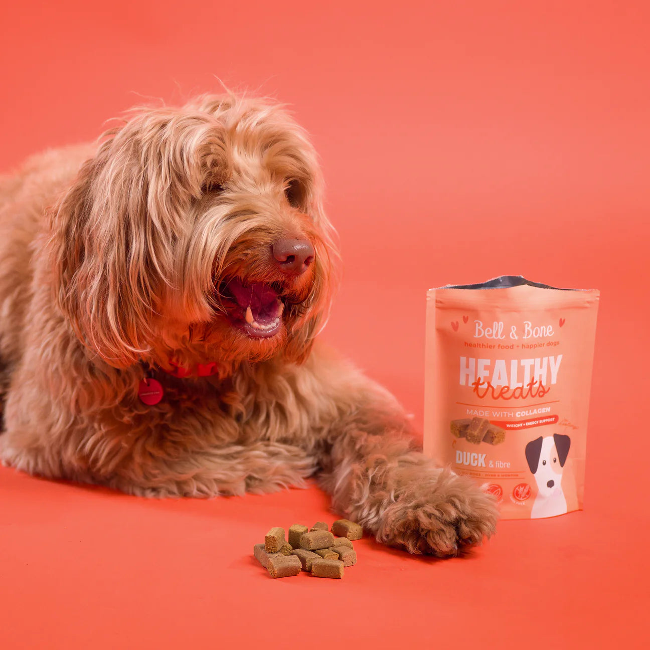 Healthy Treats | Duck & Fibre