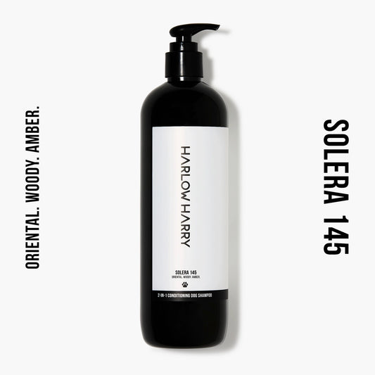 2-in-1 Shampoo | Solera 145