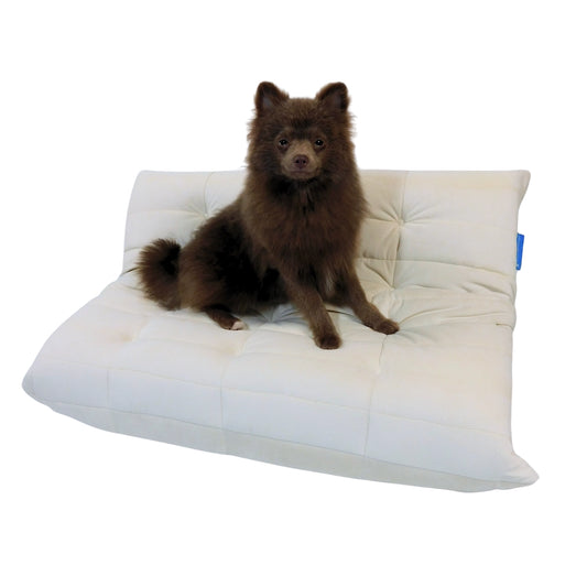 Dogo Velvet Sofa | Orange