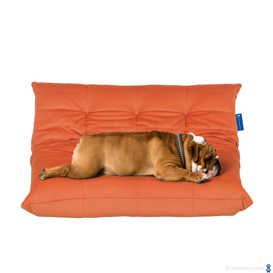 Dogo Velvet Sofa | Orange