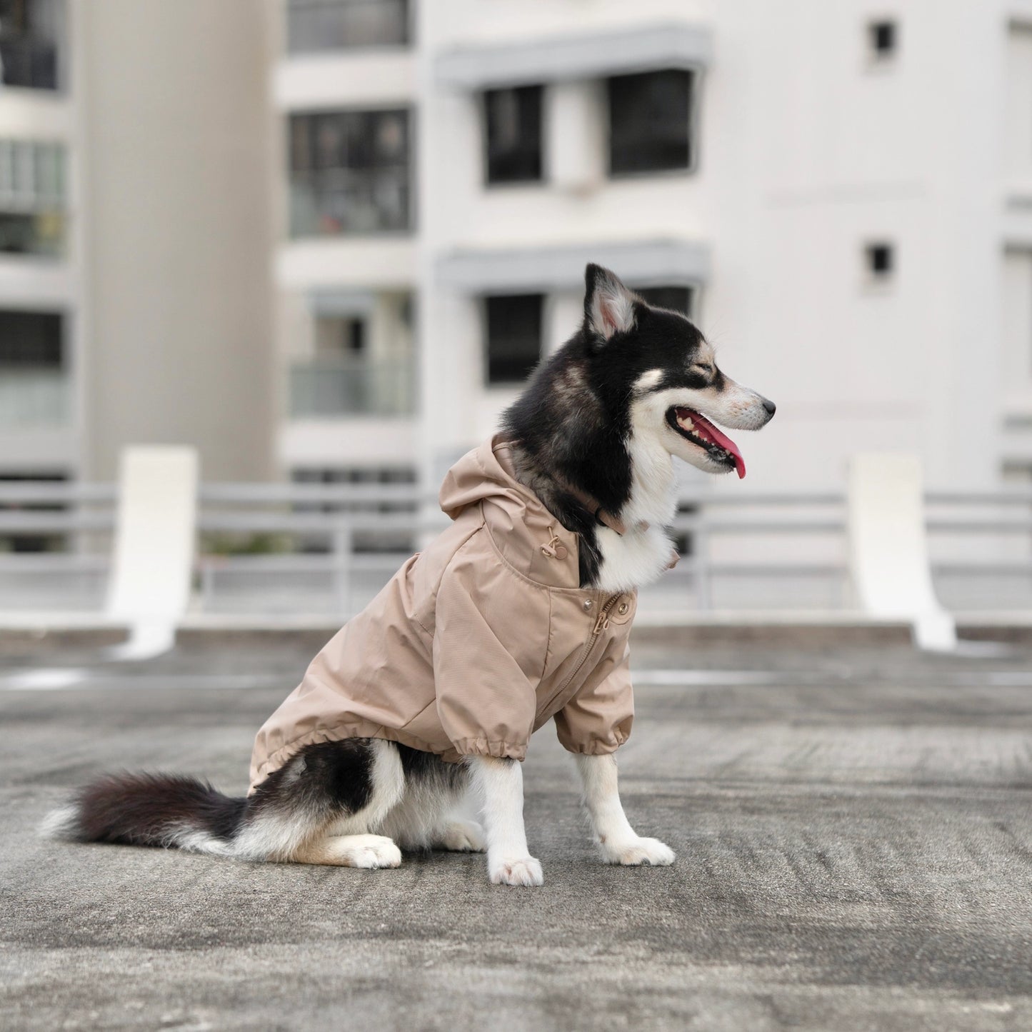 Brooklyn Water-Resistant Jacket | Camel