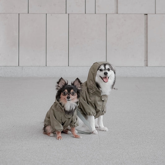 Brooklyn Water-Resistant Jacket | Fern