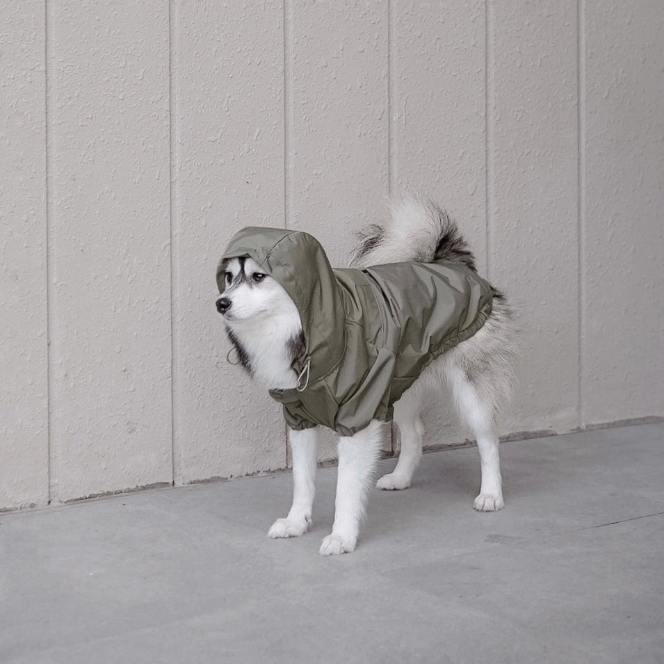 Brooklyn Water-Resistant Jacket | Fern