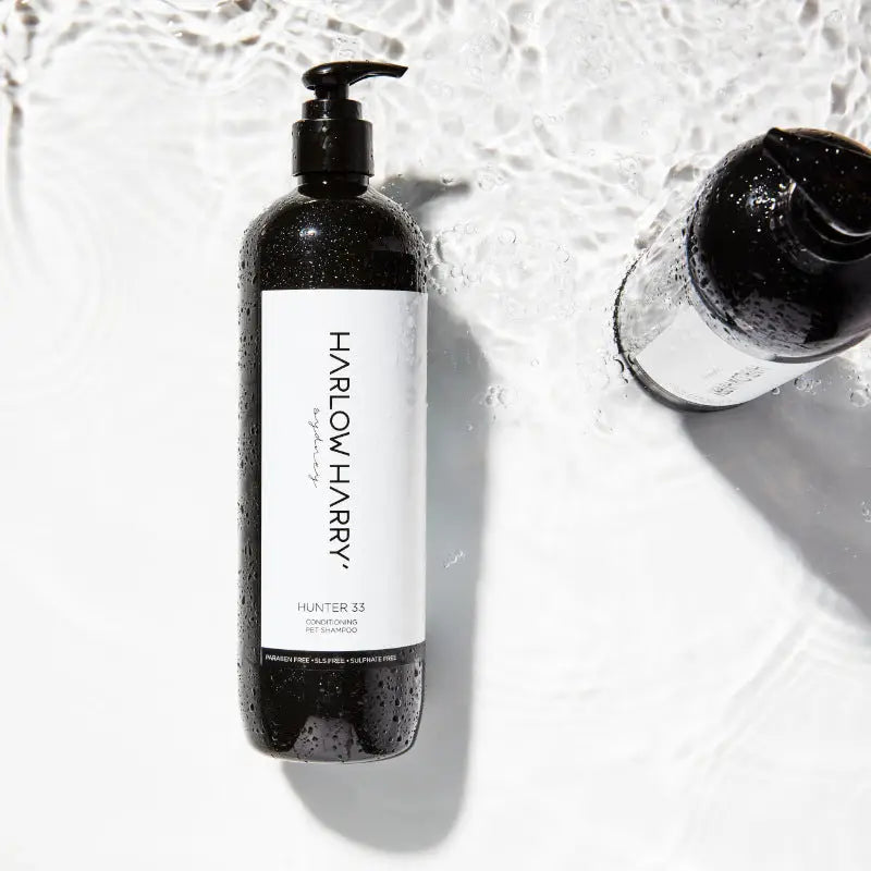 2-in-1 Shampoo | Hunter 33