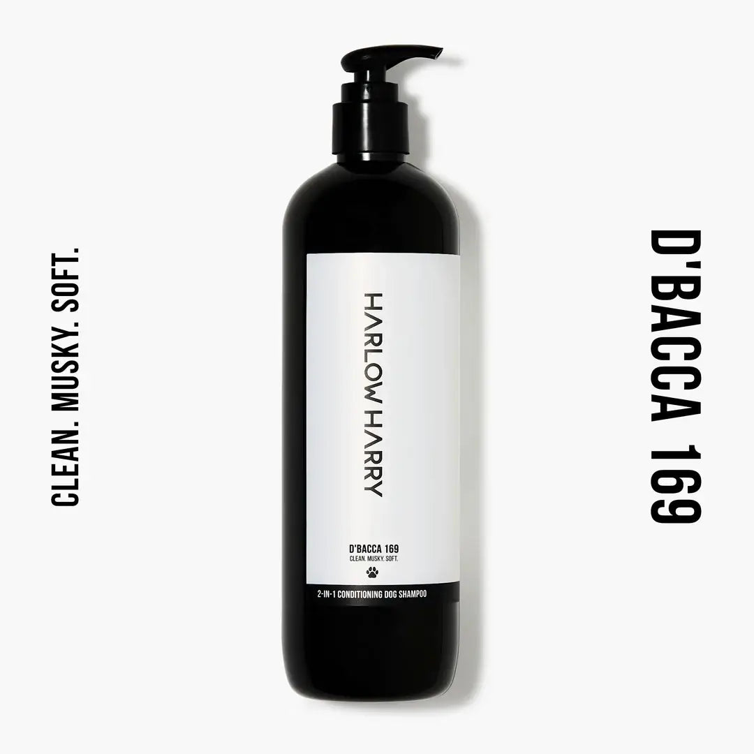 2-in-1 Shampoo | D'Bacca 169