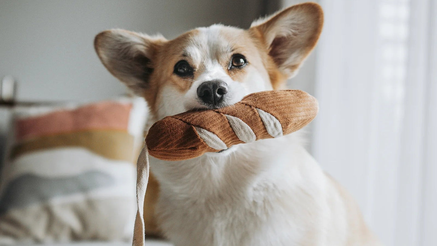 Mini Baguette Toy